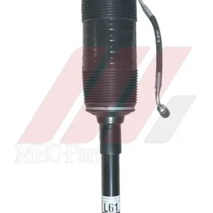 Mercedes-Benz Rear Shock Absorber – A1663201230